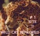 #1 Site!! Wild Cat Approved